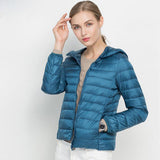 Ente Blau